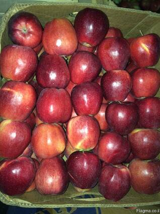 Яблоки apples