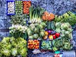 Fruits, vegetables, beans from Sunshine Uzbekistan! - photo 1
