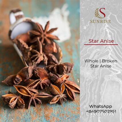 Anis Star from Vietnam