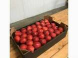 Apples fresh - фото 2