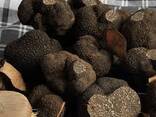 Black Truffles For Sale - фото 1