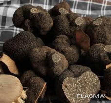 Black Truffles For Sale
