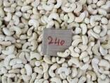 Cashew Nut Size W180 W240 W320 W450/ Certified WW320 Dried Cashew for Sale - photo 2