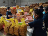 Cassia Stick / Powder from Vietnam - photo 11