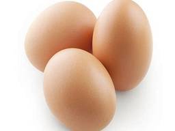 Fresh and good quality eggs for sale