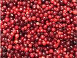 Frozen berries, fruits, berry-fruit and compote mixes. - фото 5