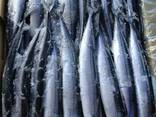 Frozen mackerel - photo 2