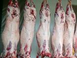 Frozen meat - фото 1