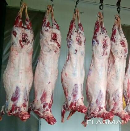 Frozen meat