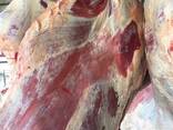 Frozen meat - фото 2