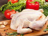 Halal Frozen Chicken, Thigh, Back quarter, Wings , Fillet IPBF , IQF, BF. Ukraine - фото 1
