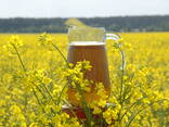 Масло рапсовое не рафинированное/ Rapeseed oil, not refined - фото 1