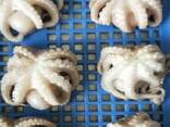 Мороженные морепродукты и рыба в Израиль от завода из Китая - фото 1