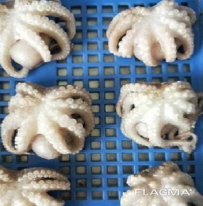 Мороженные морепродукты и рыба в Израиль от завода из Китая