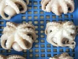 Мороженные морепродукты и рыба в Израиль от завода из Китая