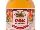 Natural juice from Kazakhstan - photo 1