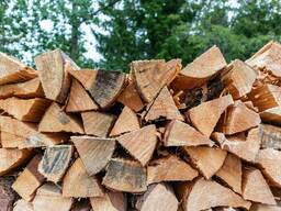 Firewood for Camp Fires