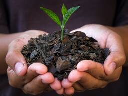 Premium Biochar for Smart Farming – High CEC &amp; Water Efficiency