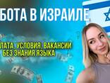 Работа в Израиле для туристов - photo 1