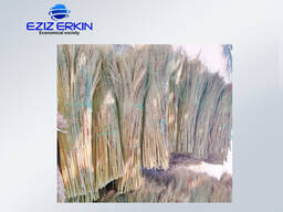 Сорго для производства веников