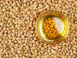 Soybean oil/ שמן סויה - photo 1