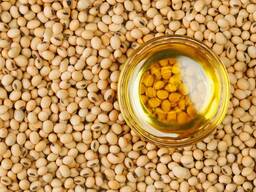 Soybean oil/ שמן סויה