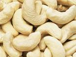 Top and best grade cashew nuts