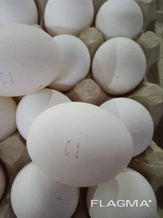 Яйцо пищевое, С1(Medium), С0(Large)