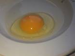 Яйцо пищевое, С1(Medium), С0(Large) - фото 5