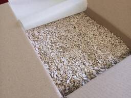 מכירת גרעין חמניות קונדיטוריה