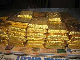 מטילי זהב איכותיים ומובחרים זמינים למכירה